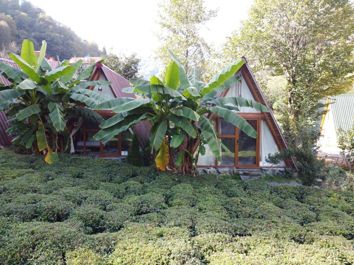 Tabiat Bungalows Otel Çamlıhemşin Eksteriør bilde