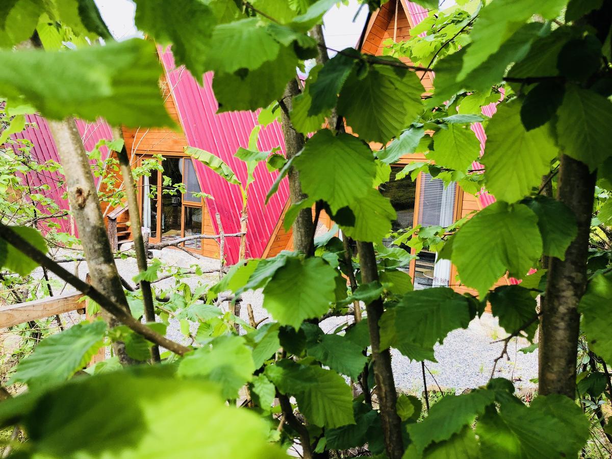 Tabiat Bungalows Otel Çamlıhemşin Eksteriør bilde